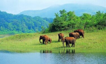 Glimpses of Kerala – 5 Nights / 6 Days